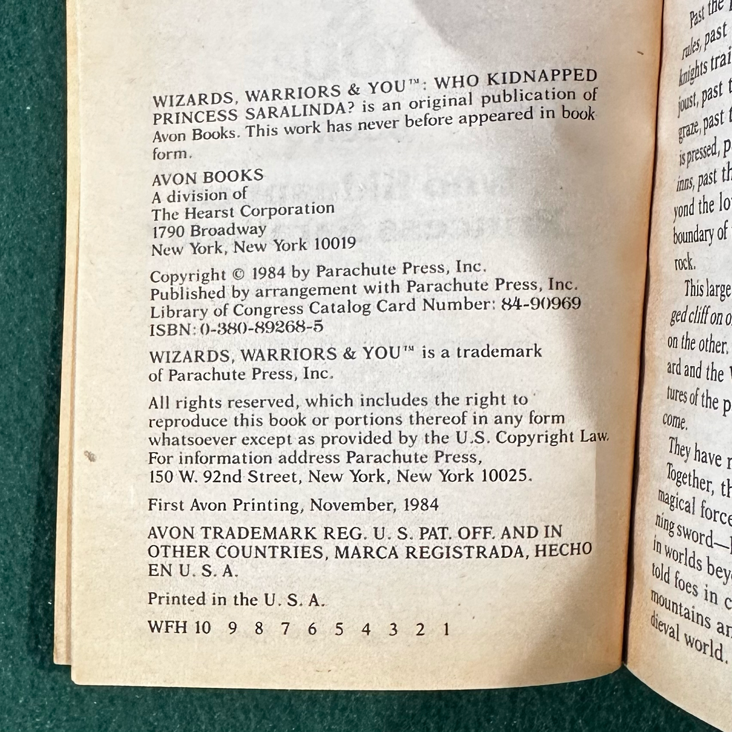 Vintage Fantasy Paperback: Megan Stine & H William Stine - Wizards, Warriors & You, Book 3: Who Kidnapped Princess Saralinda? FIRST PRINT