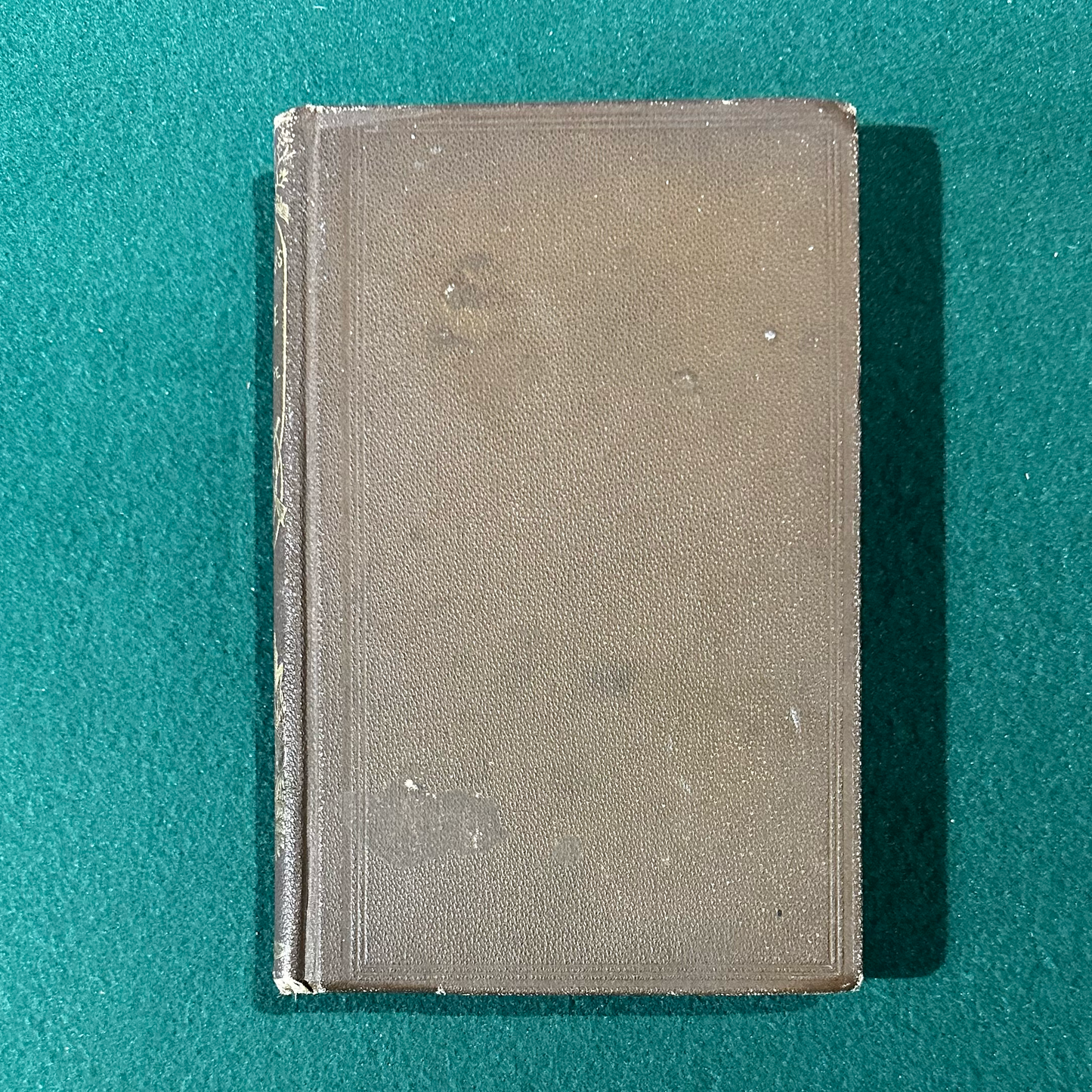 Antique Non-Fiction Hardback: S Newhouse - The Trapper's Guide SEVENTH EDITION 1881
