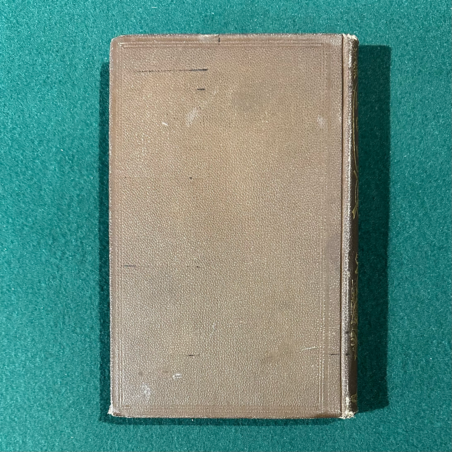 Antique Non-Fiction Hardback: S Newhouse - The Trapper's Guide SEVENTH EDITION 1881