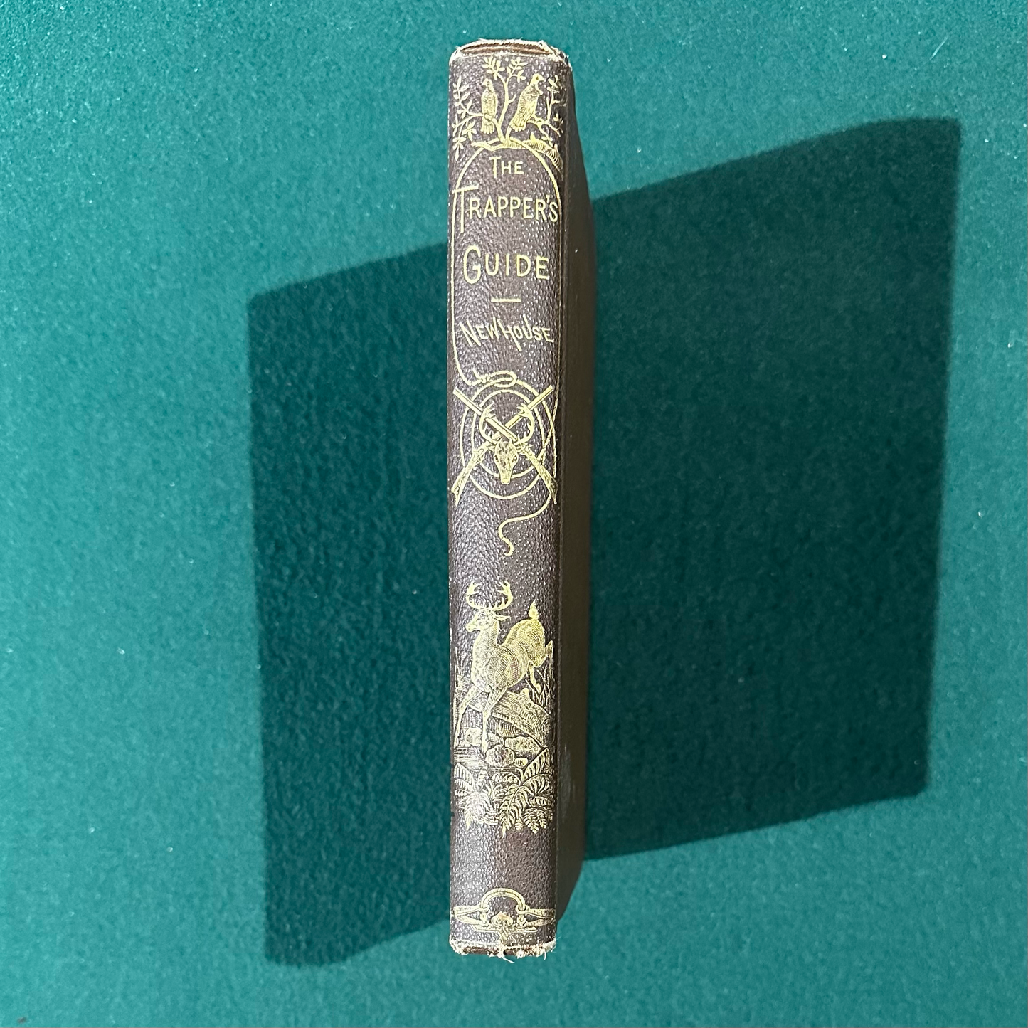 Antique Non-Fiction Hardback: S Newhouse - The Trapper's Guide SEVENTH EDITION 1881