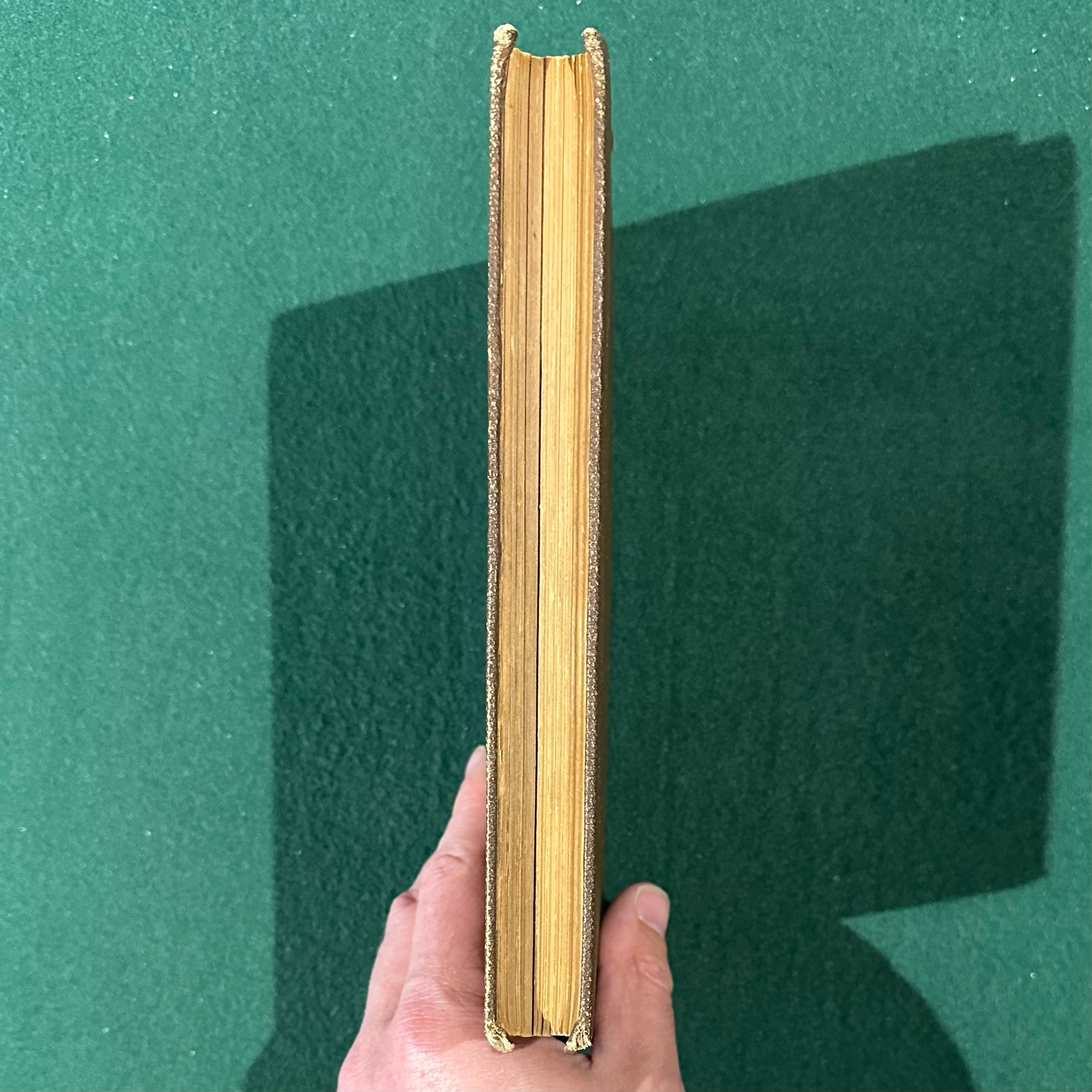 Antique Non-Fiction Hardback: S Newhouse - The Trapper's Guide SEVENTH EDITION 1881