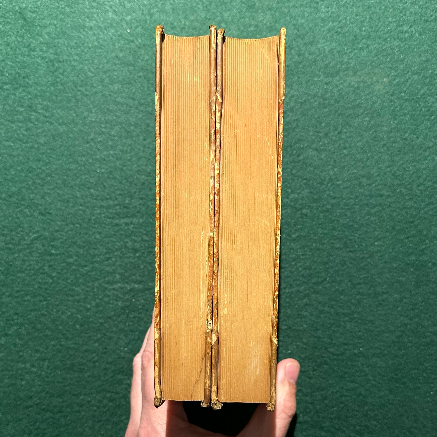 Antique Fiction Hardbacks: Miguel De Cervantes Saavedra, Translated by Charles Jervas - Adventures of Don Quixote De La Mancha