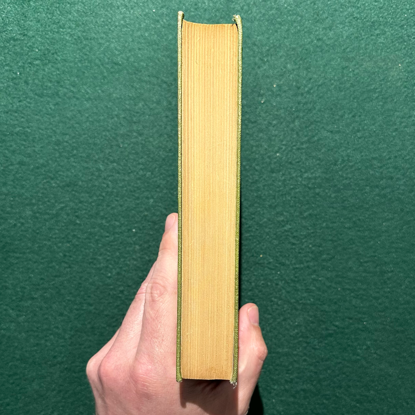 Vintage Fantasy Hardback: Edgar Rice Burroughs - The Warlords of Mars 1919