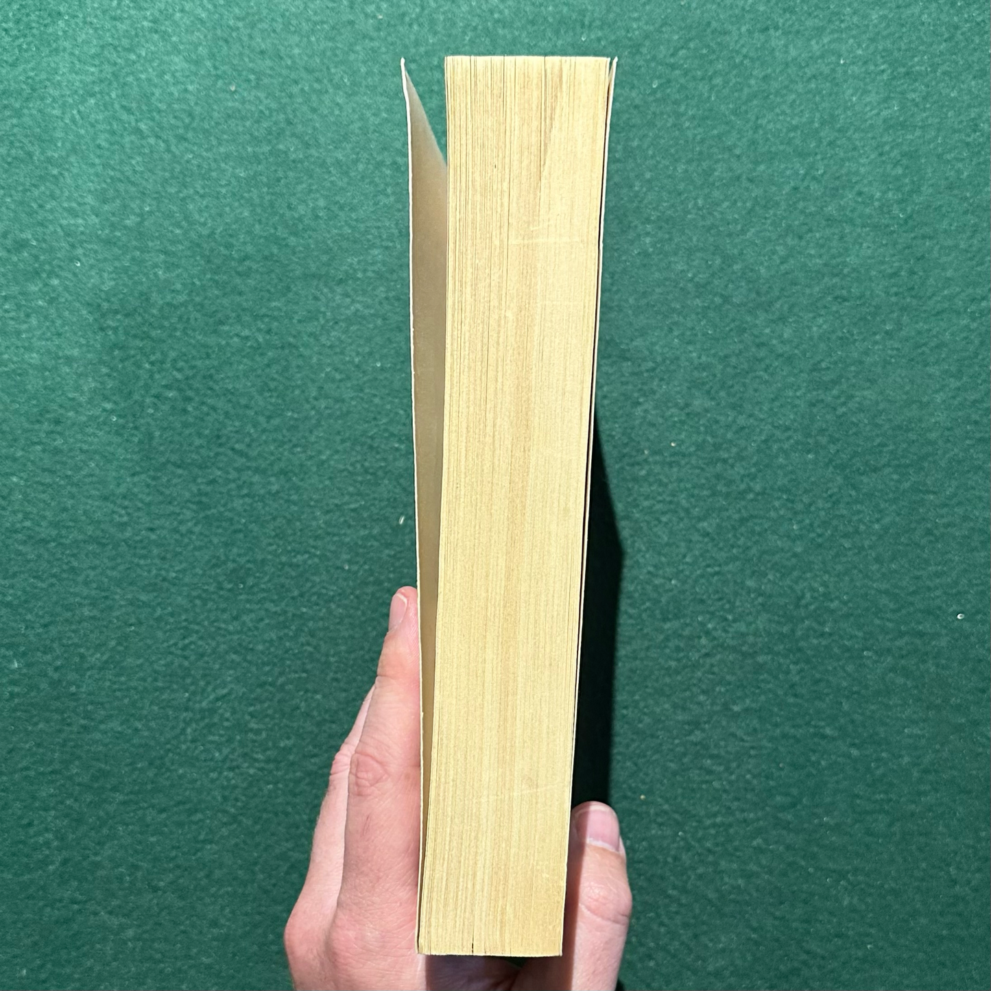 Vintage Sci-fi Paperback: Frank Herbert and Dr Willis E McNelly - The Dune Encyclopedia UK EDITION