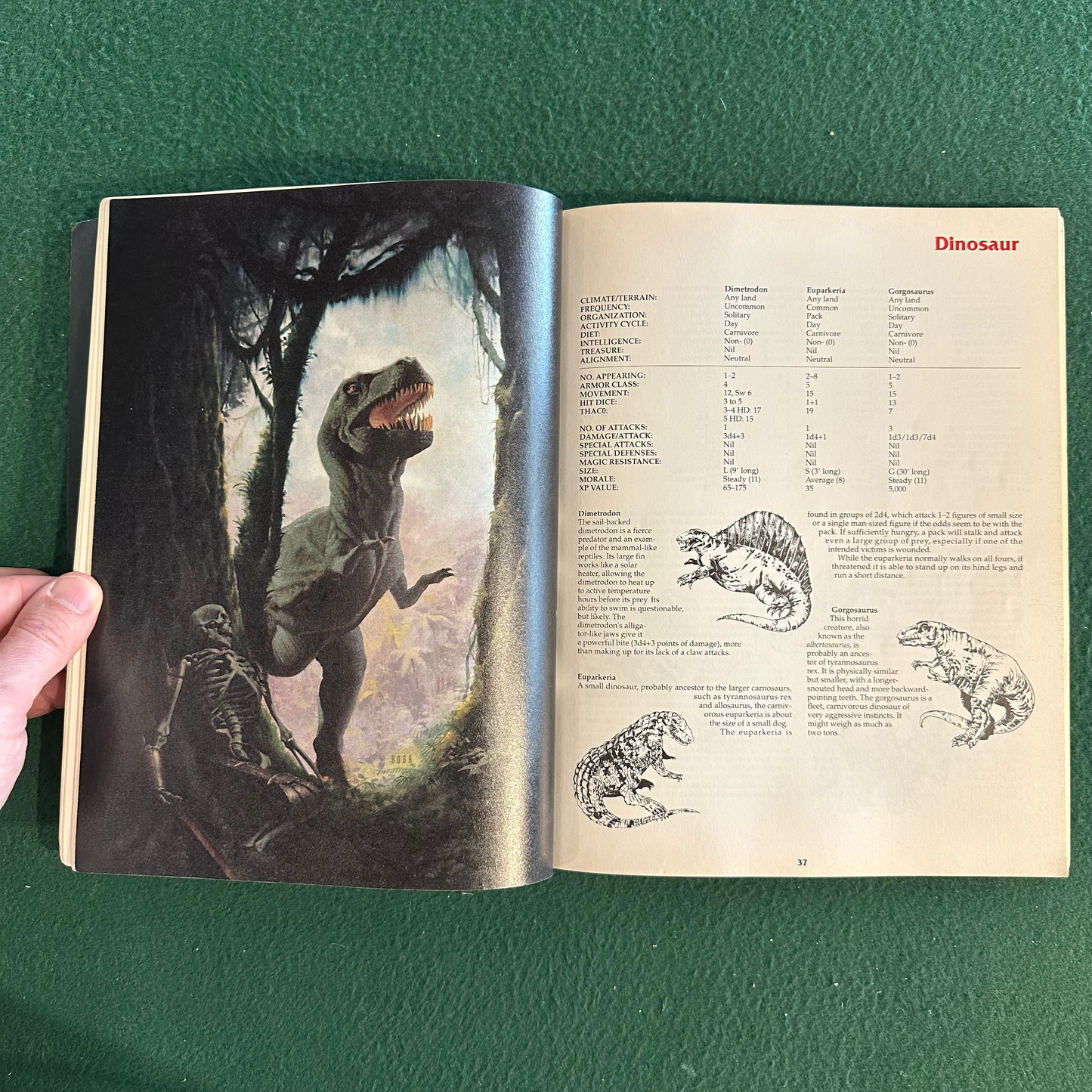 Vintage Advanced Dungeons & Dragons Accessory: Monstrous Compendium Annual Volume Two