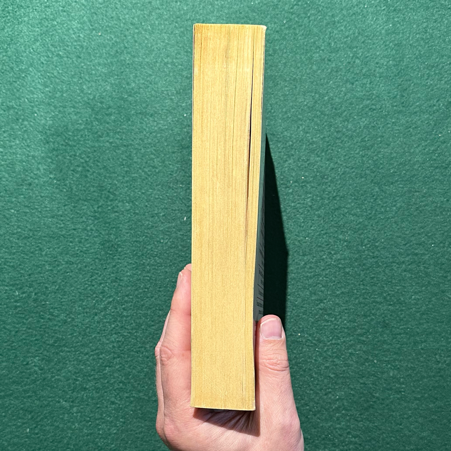 Vintage Sci-fi Paperback: Frank Herbert and Dr Willis E McNelly - The Dune Encyclopedia US EDITION