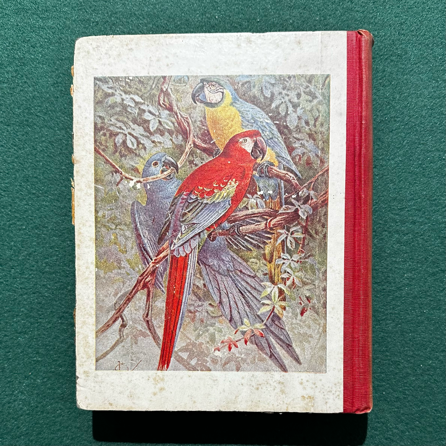 Antique Non-Fiction Hardback: Rev D C Eddy - All Aboard for Asia and Africa 1897
