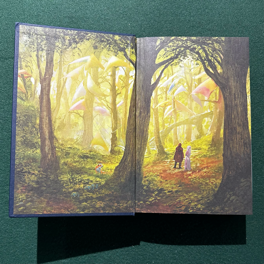 Fantasy Hardback: Tad Williams - The Stone of Farewell BROKEN BINDING FIRST EDITION