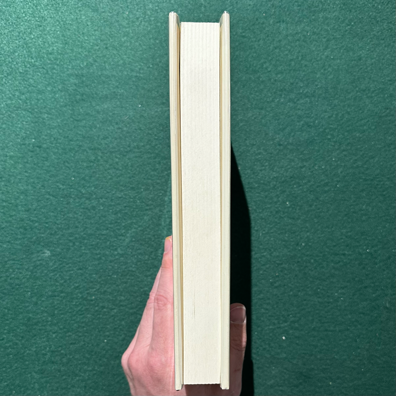 Vintage Fiction Hardback: Margaret Atwood - The Handmaid's Tale