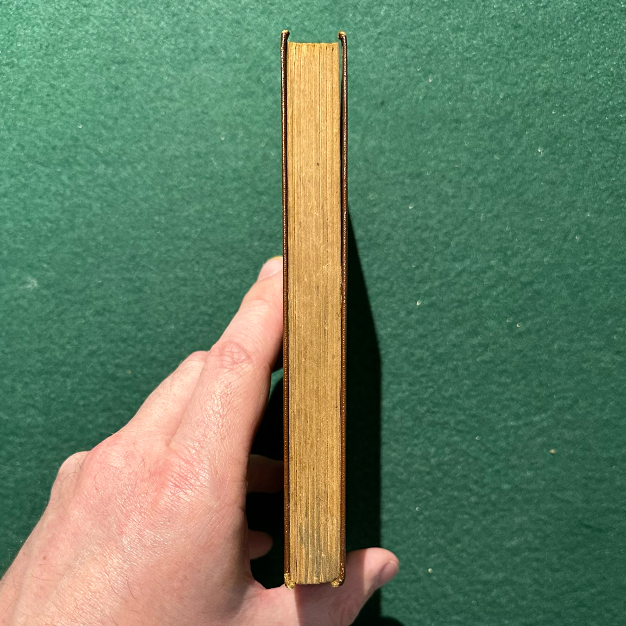 Antique Fiction Hardback: Oscar Wilde - The Picture of Dorian Gray, Modern Library