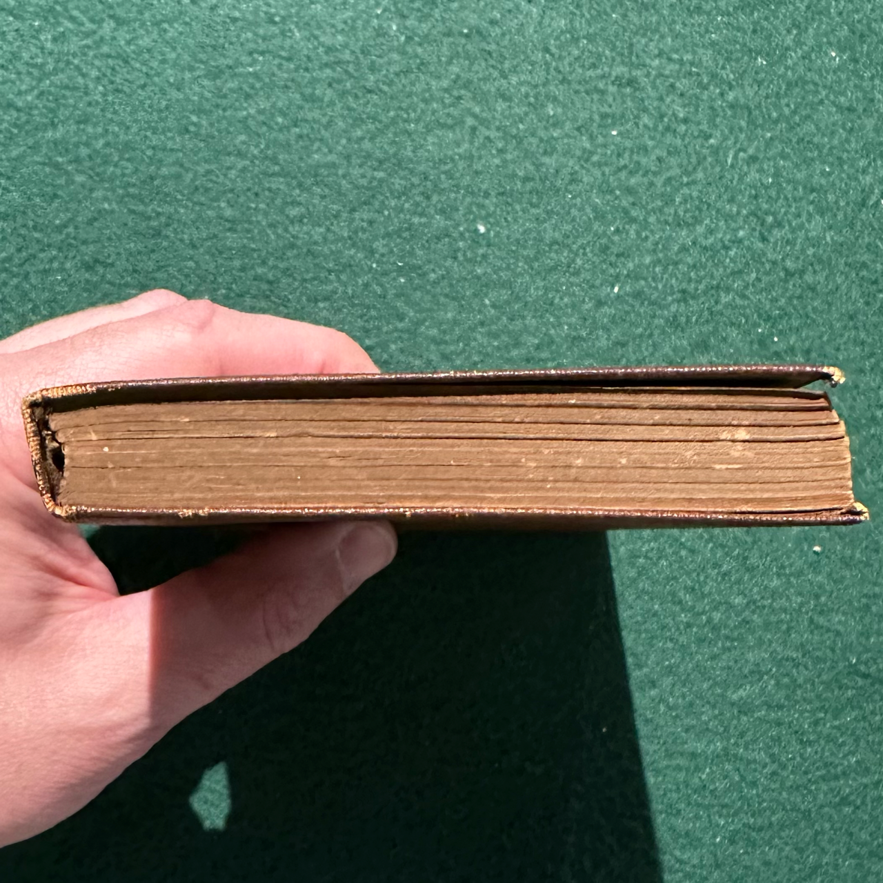 Antique Fiction Hardback: Oscar Wilde - The Picture of Dorian Gray, Modern Library