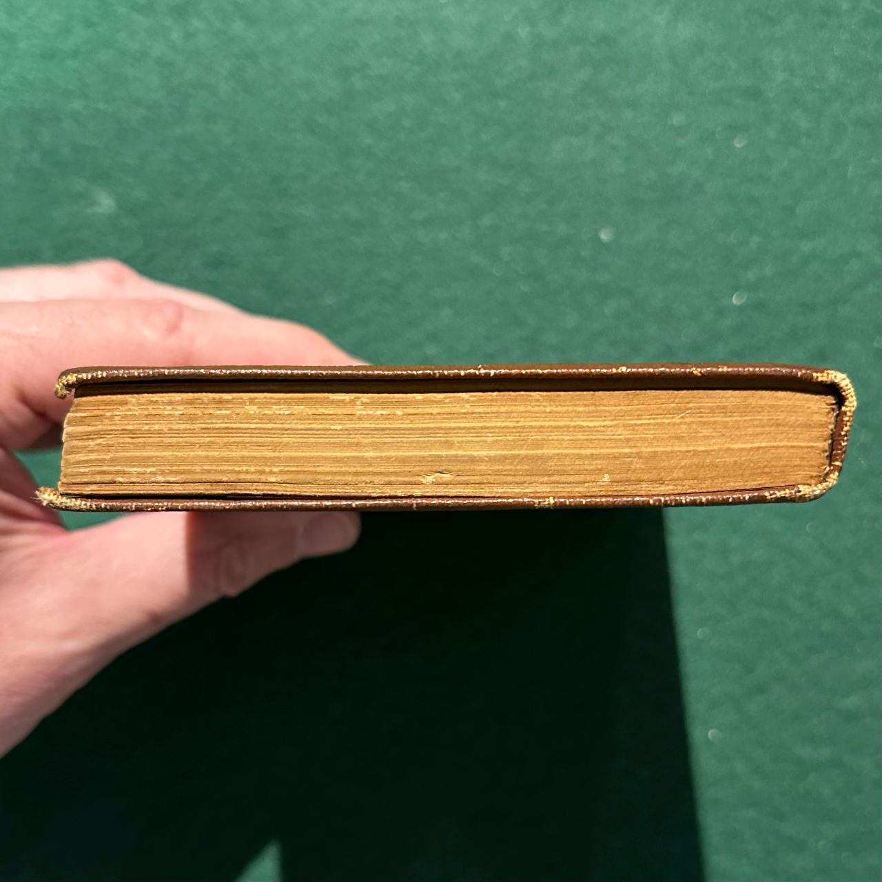 Antique Fiction Hardback: Oscar Wilde - The Picture of Dorian Gray, Modern Library