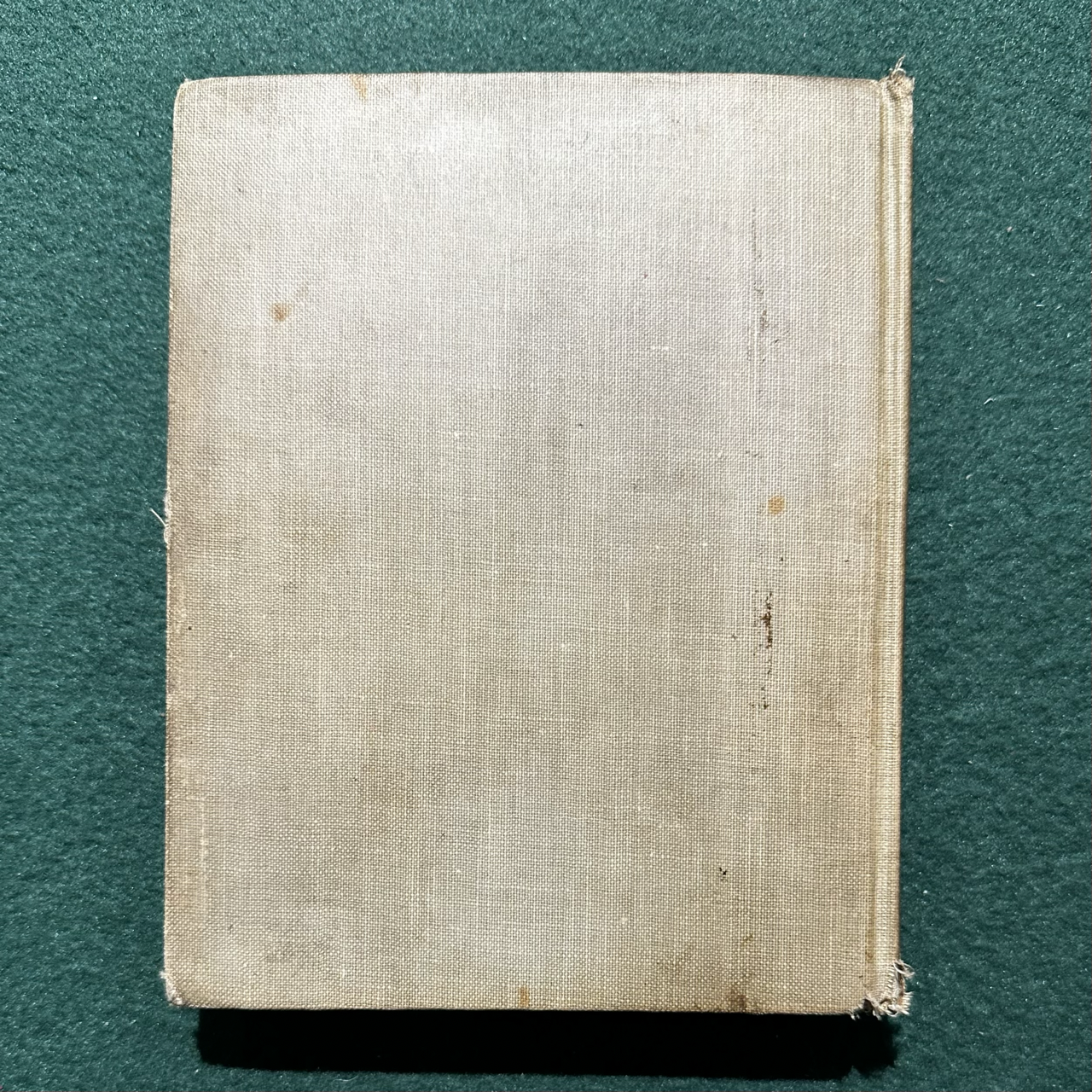 Antique Fiction Hardback: The Brothers Grimm - Fairy Tales, Altemus