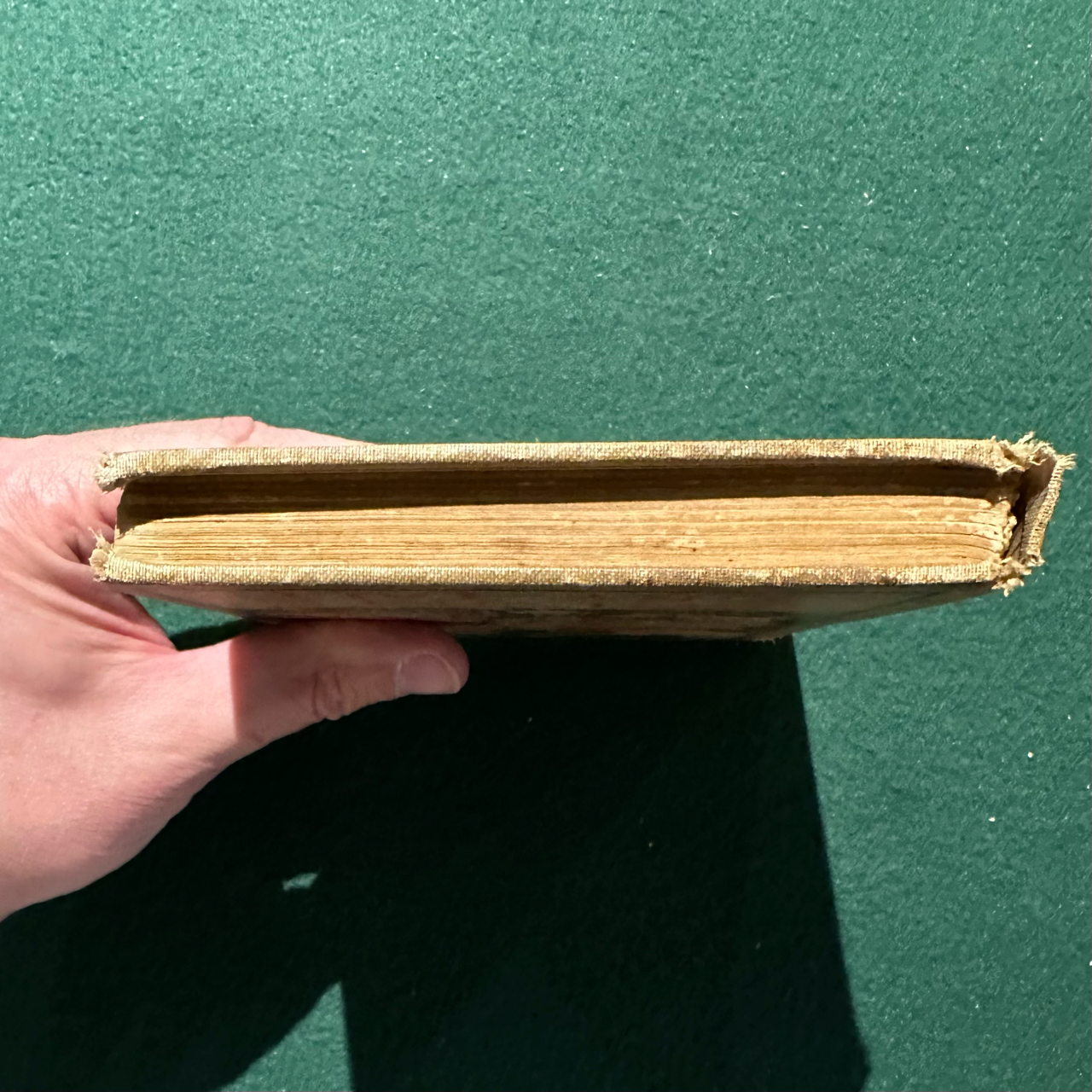 Antique Fiction Hardback: The Brothers Grimm - Fairy Tales, Altemus