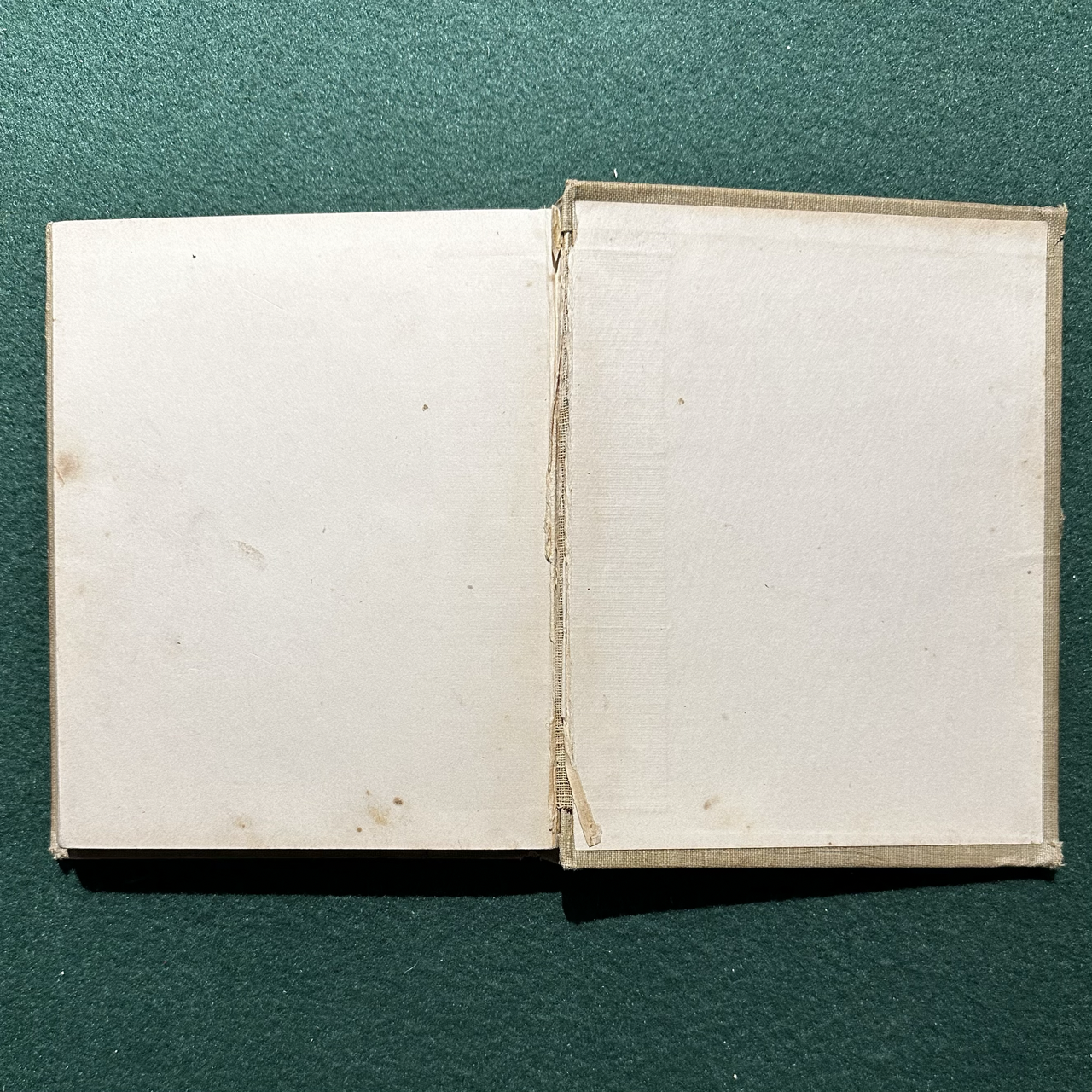 Antique Fiction Hardback: The Brothers Grimm - Fairy Tales, Altemus