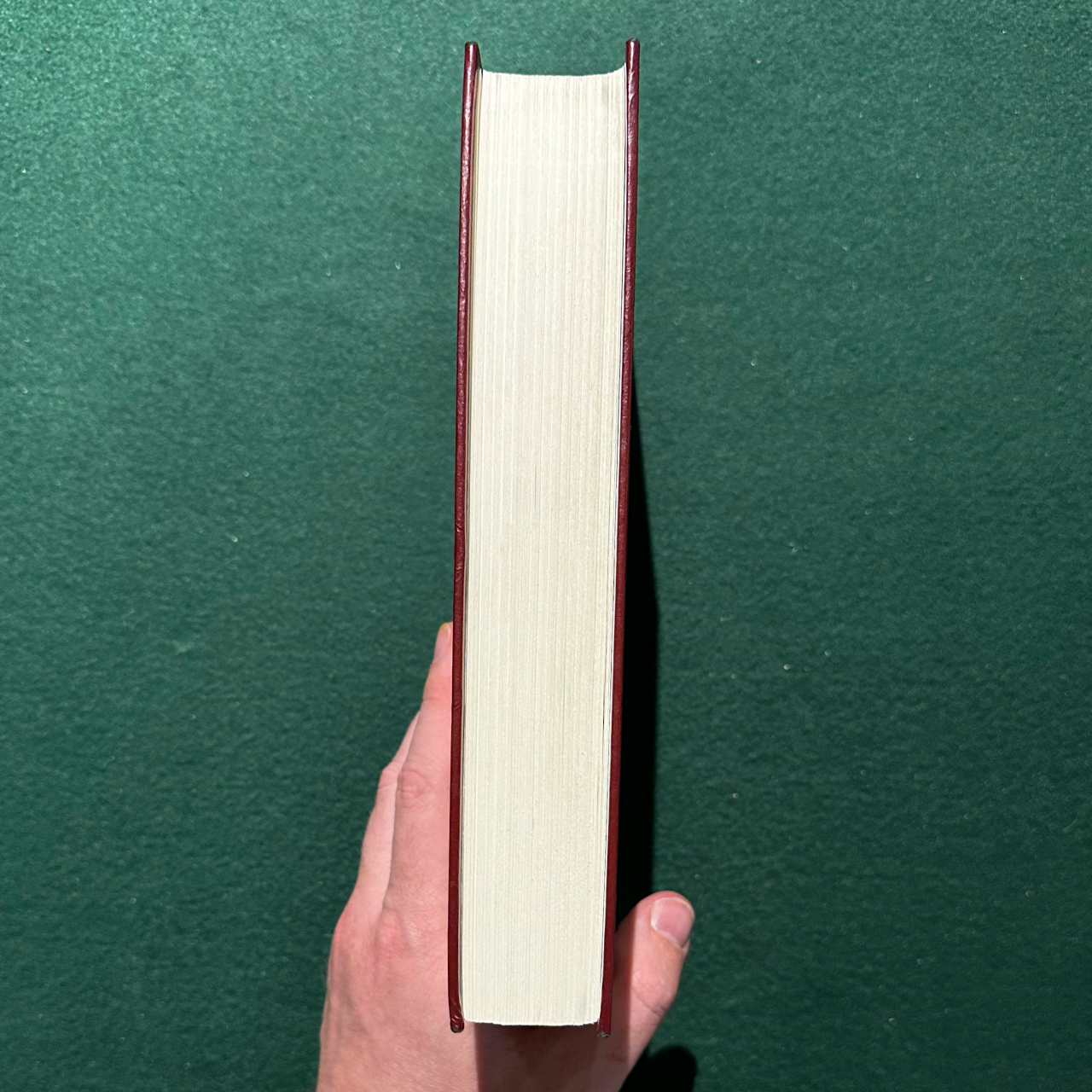 Vintage Non-Fiction Hardback: Judy Jo Small - A Reader's Guide to the Short Stories of Sherwood Anderson FIRST PRINT