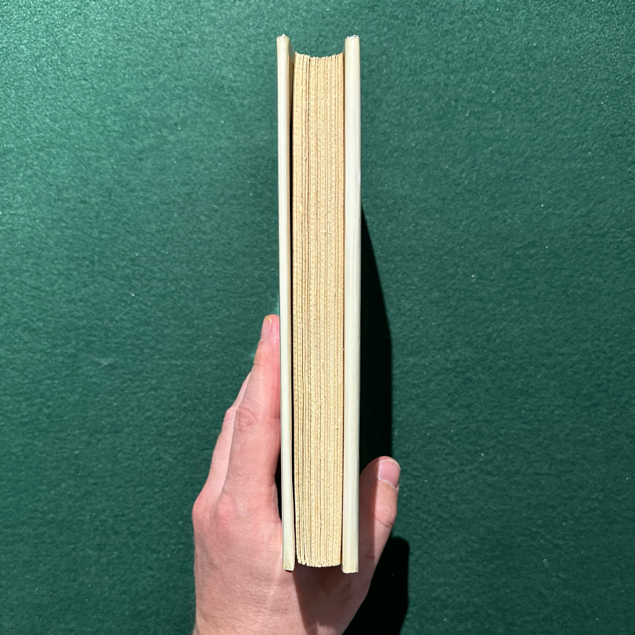 Vintage Fiction Hardback: Hermann Hesse - Autobiographical Writings FIRST EDITION