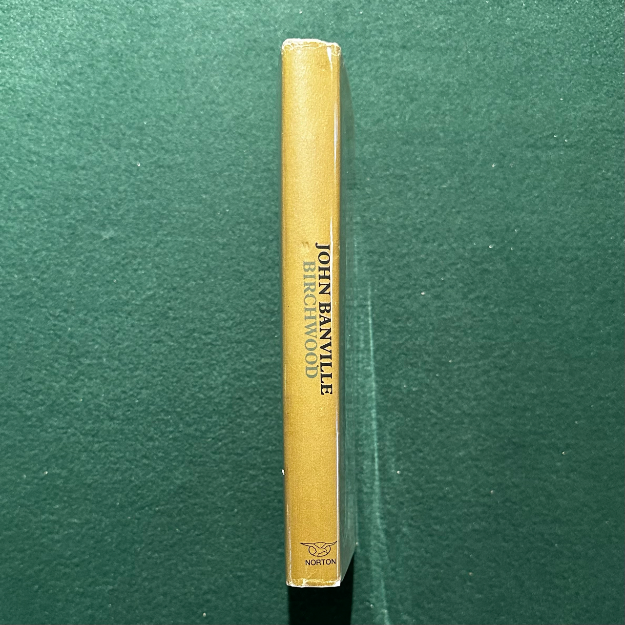 Vintage Fiction Hardback: John Banville - Birchwood 3RD PRINTING