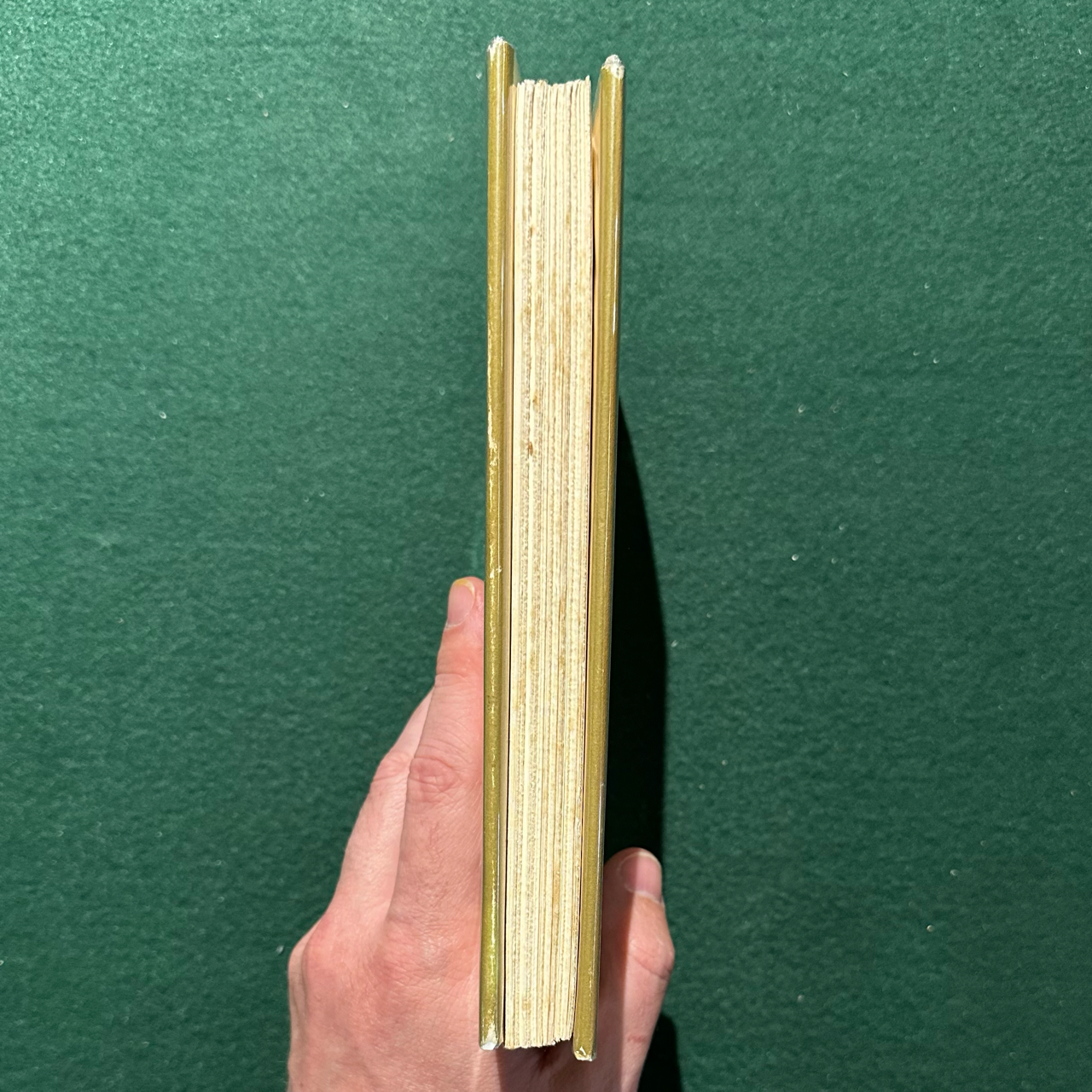 Vintage Fiction Hardback: John Banville - Birchwood 3RD PRINTING