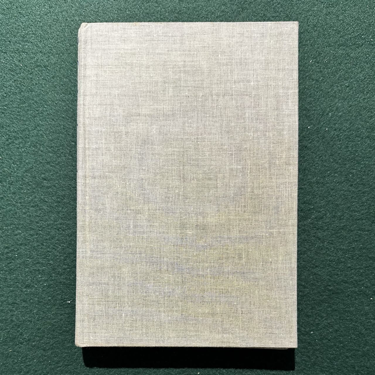 Vintage Fiction Hardback: John Banville - Birchwood 3RD PRINTING