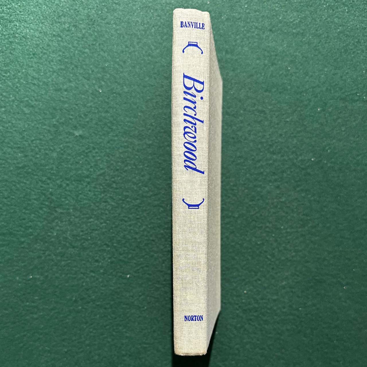Vintage Fiction Hardback: John Banville - Birchwood 3RD PRINTING