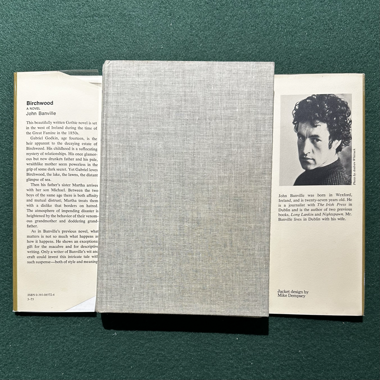 Vintage Fiction Hardback: John Banville - Birchwood 3RD PRINTING