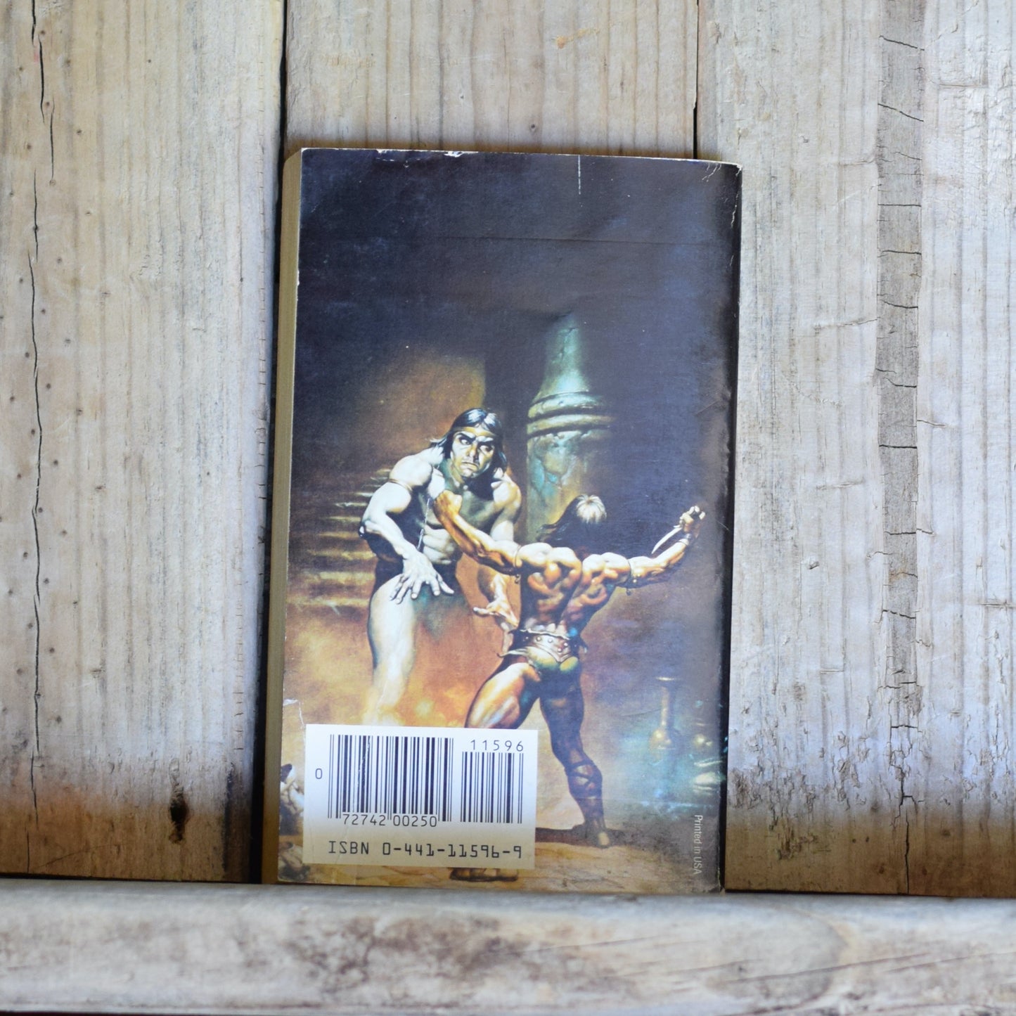 Vintage Fantasy Paperback: Robert E Howard, L Sprague de Camp and Lin Carter - Conan the Wanderer