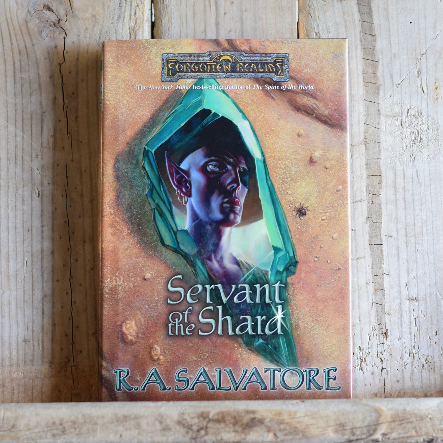 Dungeons and Dragons Hardback: R A Salvatore - Servant of the Shard FIRST PRINTING