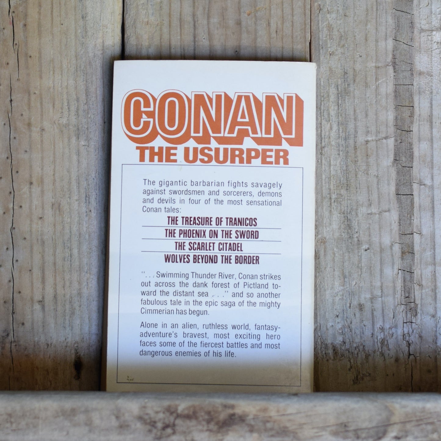 Vintage Fantasy Paperback: Robert E Howard and L Sprague de Camp - Conan the Usurper