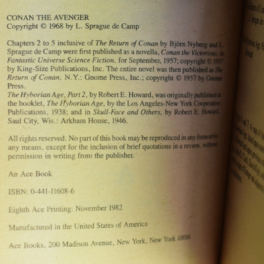 Vintage Fantasy Paperback: Robert E Howard, Bjorn Nyberg and L Sprague de Camp - Conan the Avenger