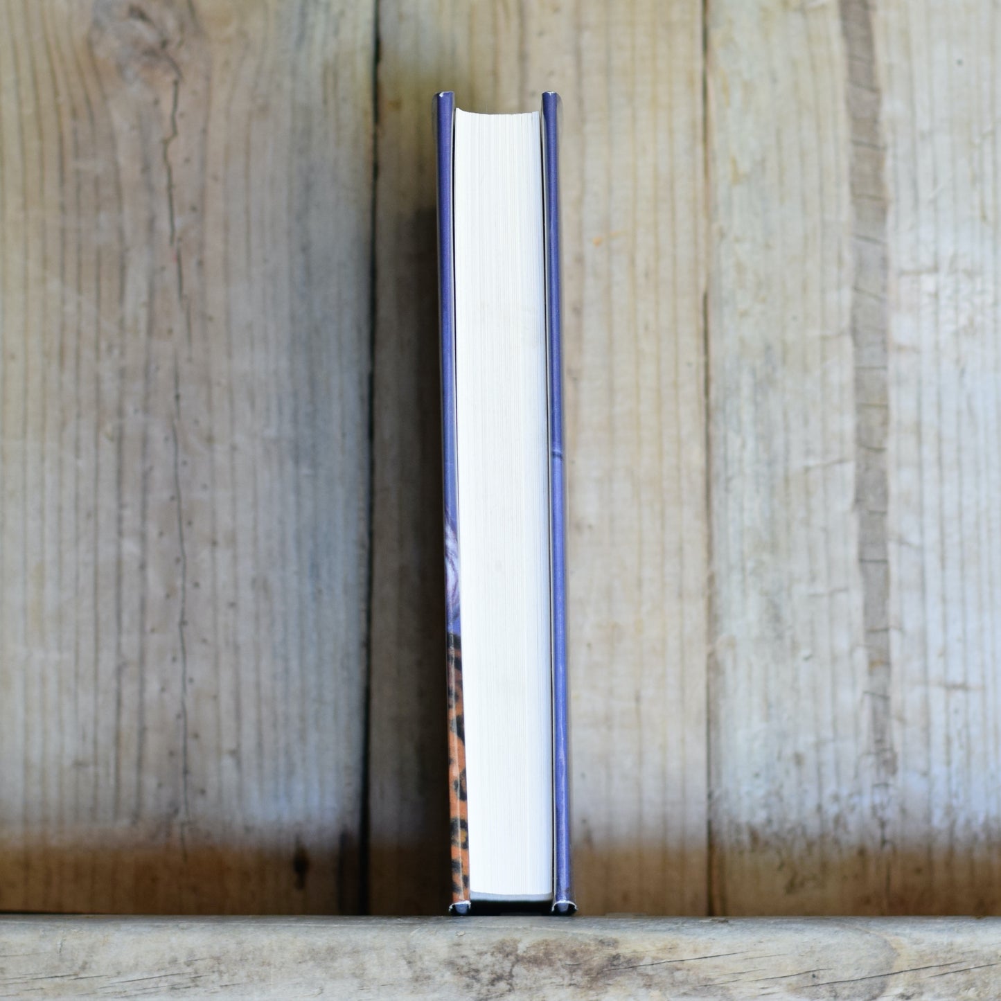 Vintage Fantasy Hardback: Philip Pullman - The Subtle Knife