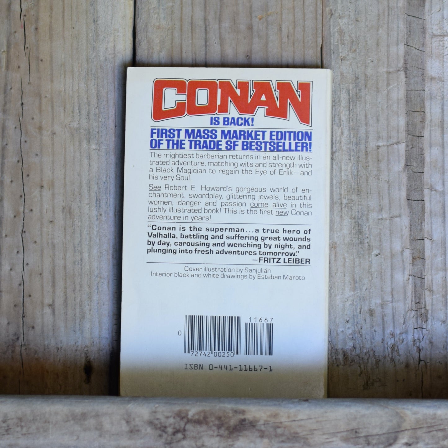 Vintage Fantasy Paperback: Andrew J Offutt - Conan and the Sorcerer