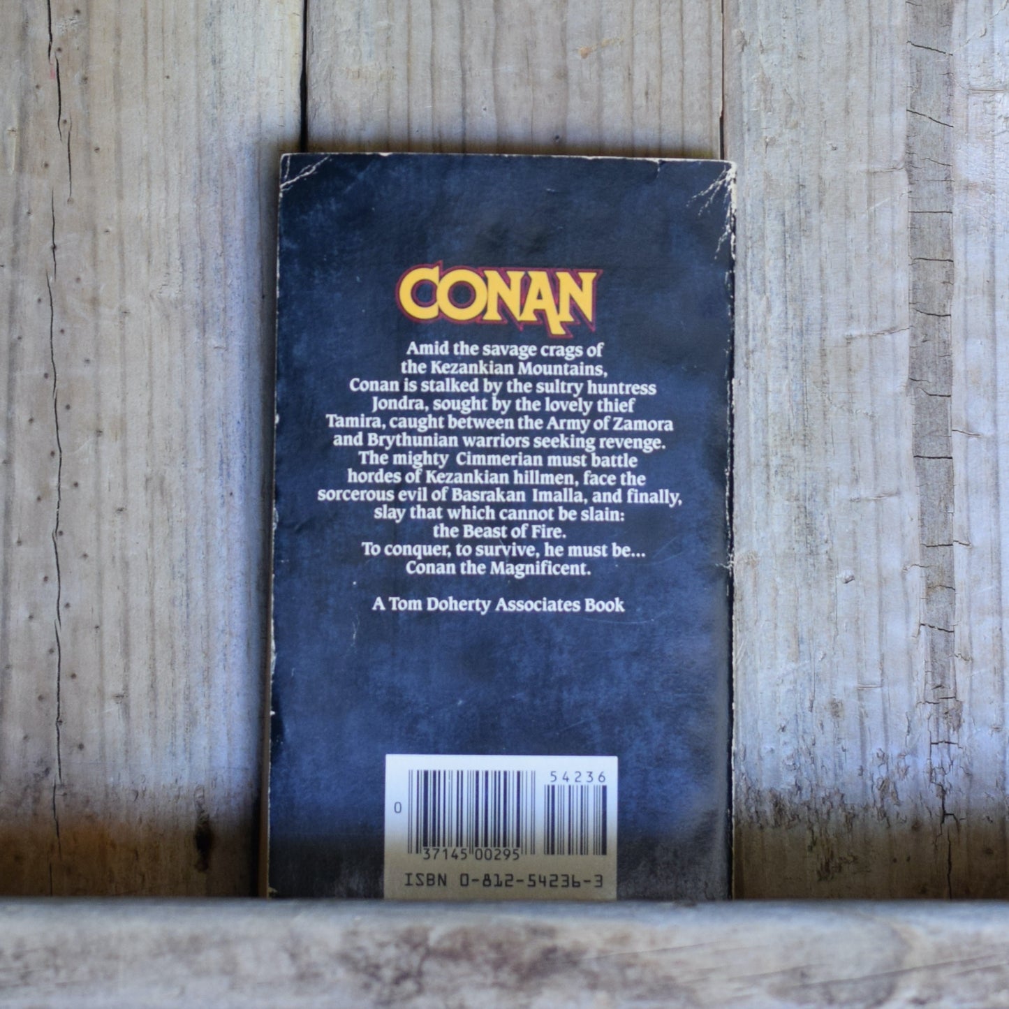 Vintage Fantasy Paperback: Robert Jordan - Conan the Magnificent FIRST PRINTING