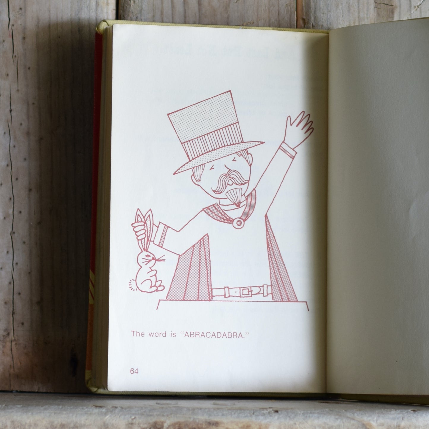 Vintage Non-fiction Hardback: Roz Abisch and Bouche Kaplan - Mixed Bag of Magic Tricks FIRST EDITION/PRINTING