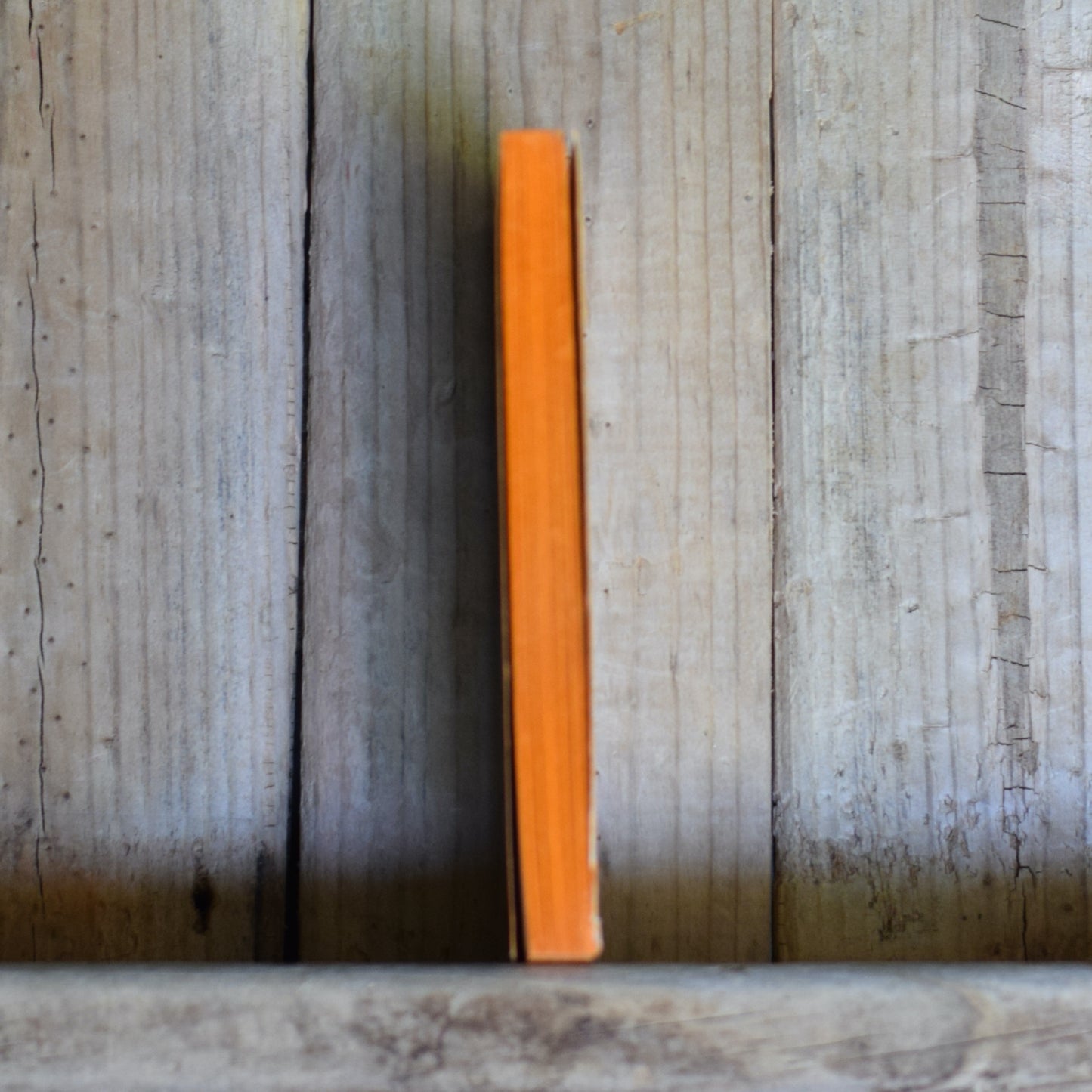 Vintage Sci-fi Paperback: Jack Vance - The Languages of Pao