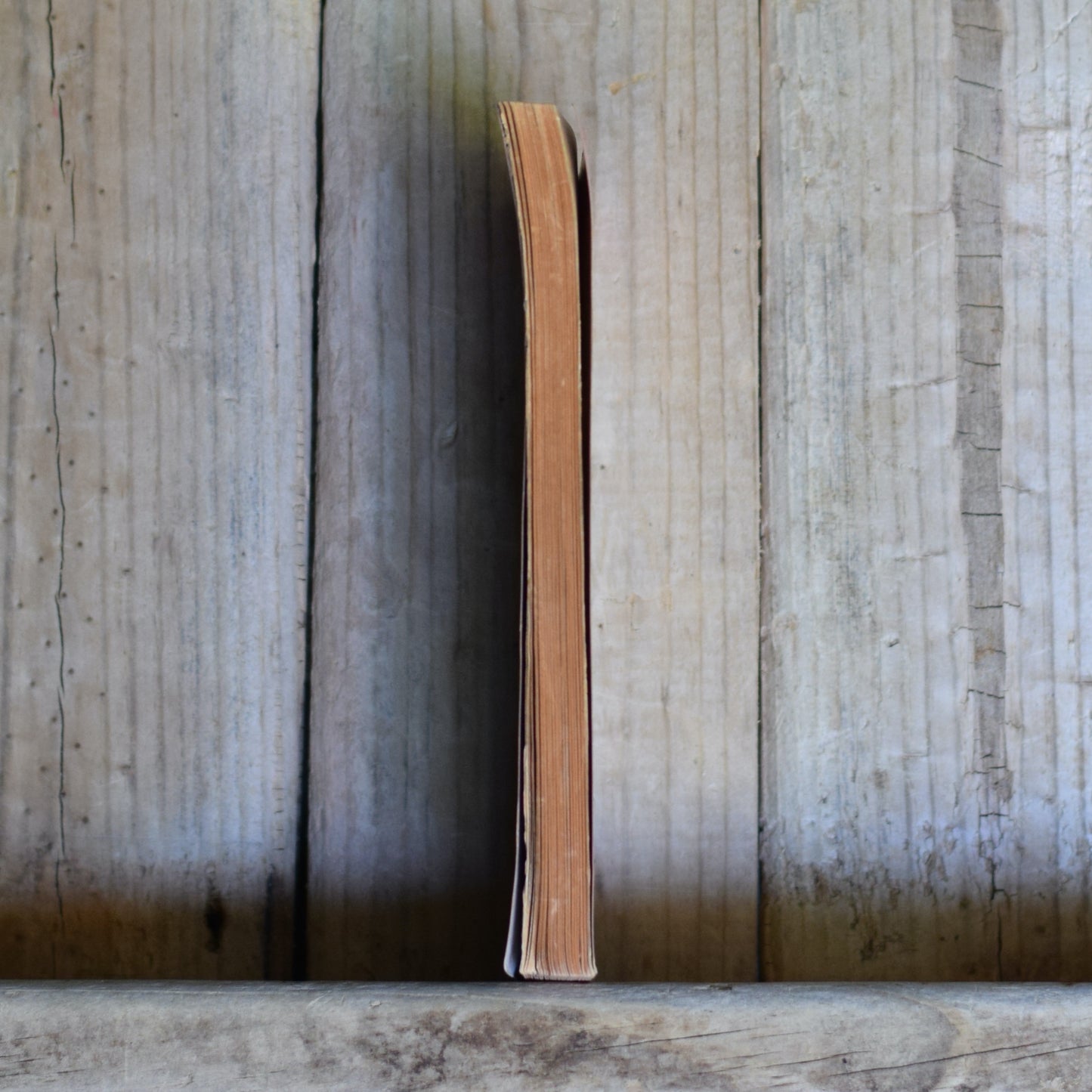 Vintage Fiction Paperback: James Joyce - A Portrait of the Artist as a Young Man