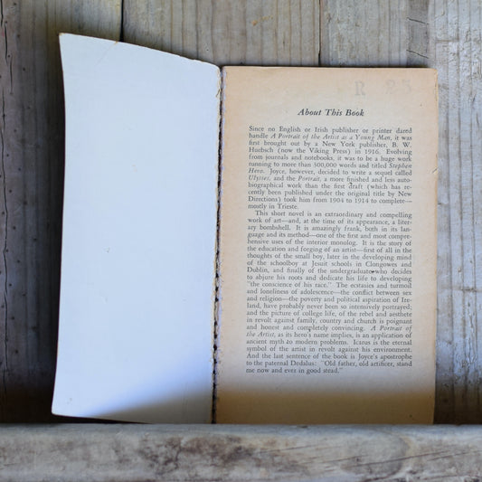 Vintage Fiction Paperback: James Joyce - A Portrait of the Artist as a Young Man