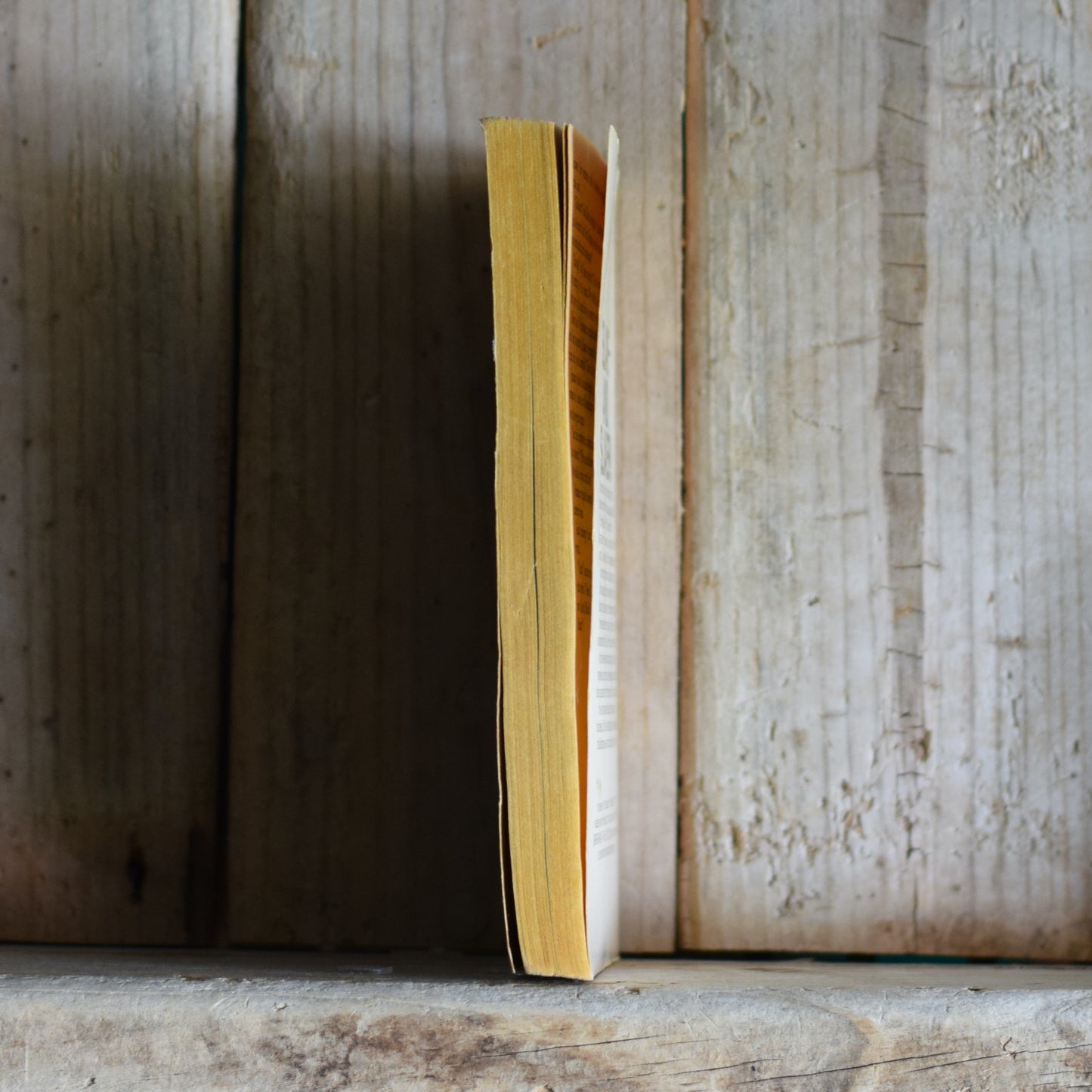 Vintage Sci-fi Paperback: Dave Van Arnam - Lord of Blood