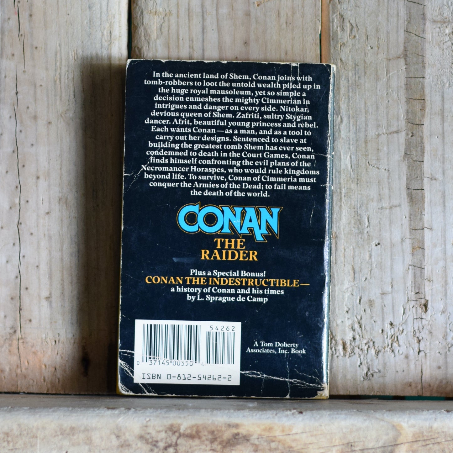 Vintage Fantasy Paperback: Leonard Carpenter - Conan the Raider FIRST PRINTING