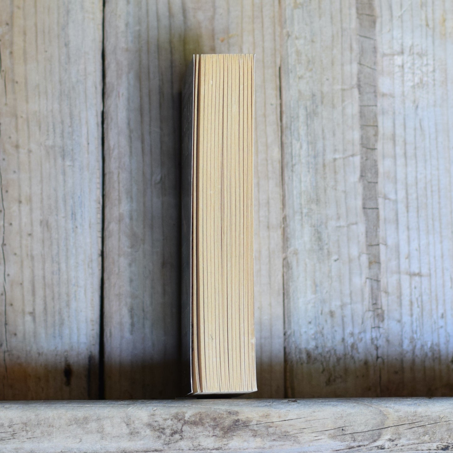 Sci-fi Paperback: Douglas Adams - The Salmon of Doubt SECOND PRINTING