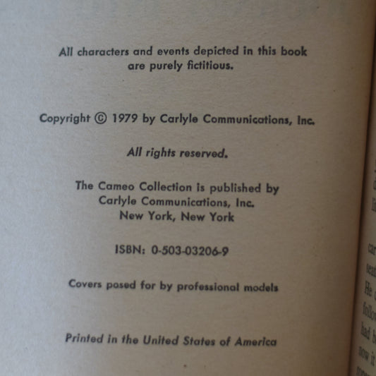 Vintage Fiction Paperback: Bernie Heller - Long Day's Journey into Lust