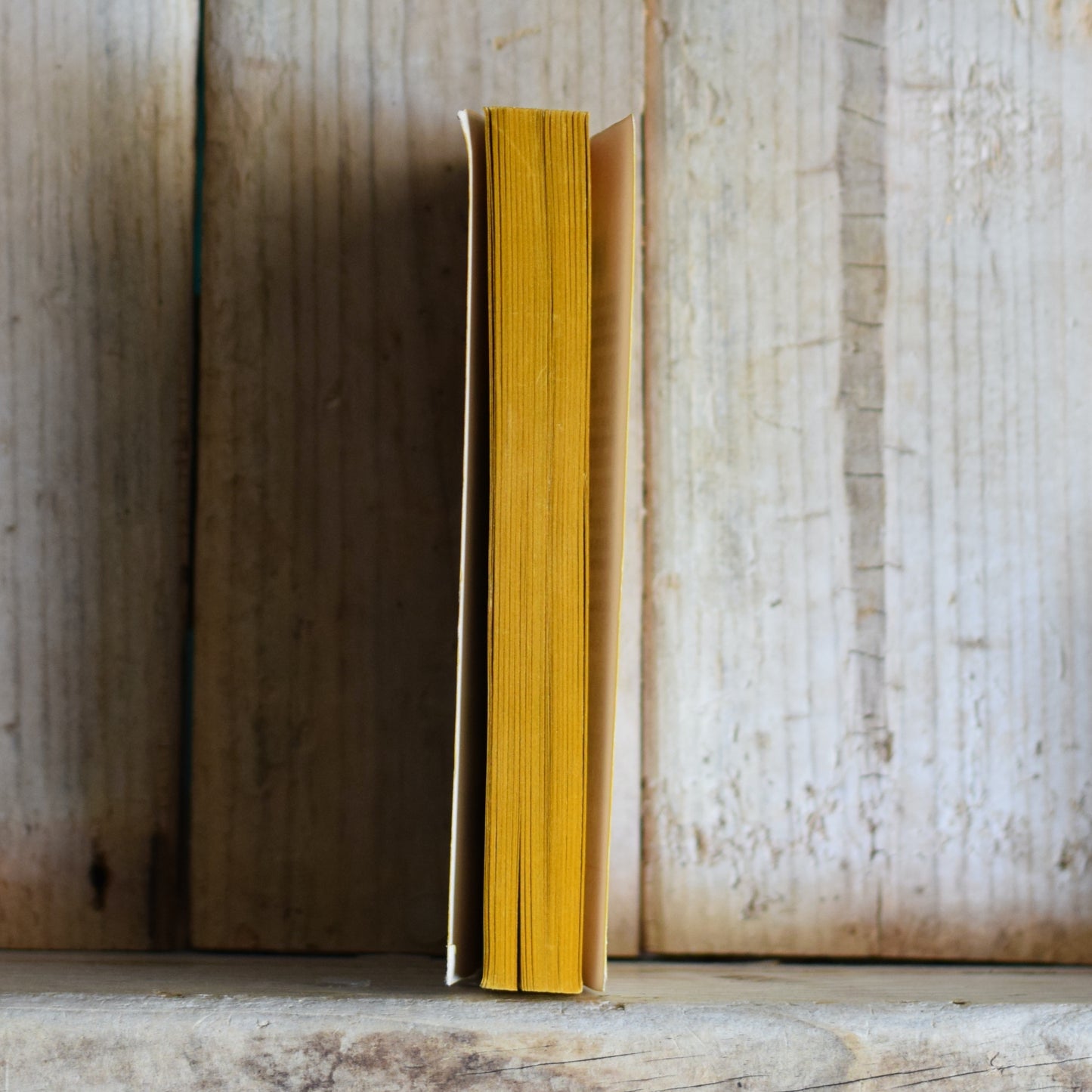 Vintage Sci-fi Paperback: M A Foster - The Warriors of Dawn FIRST PRINTING