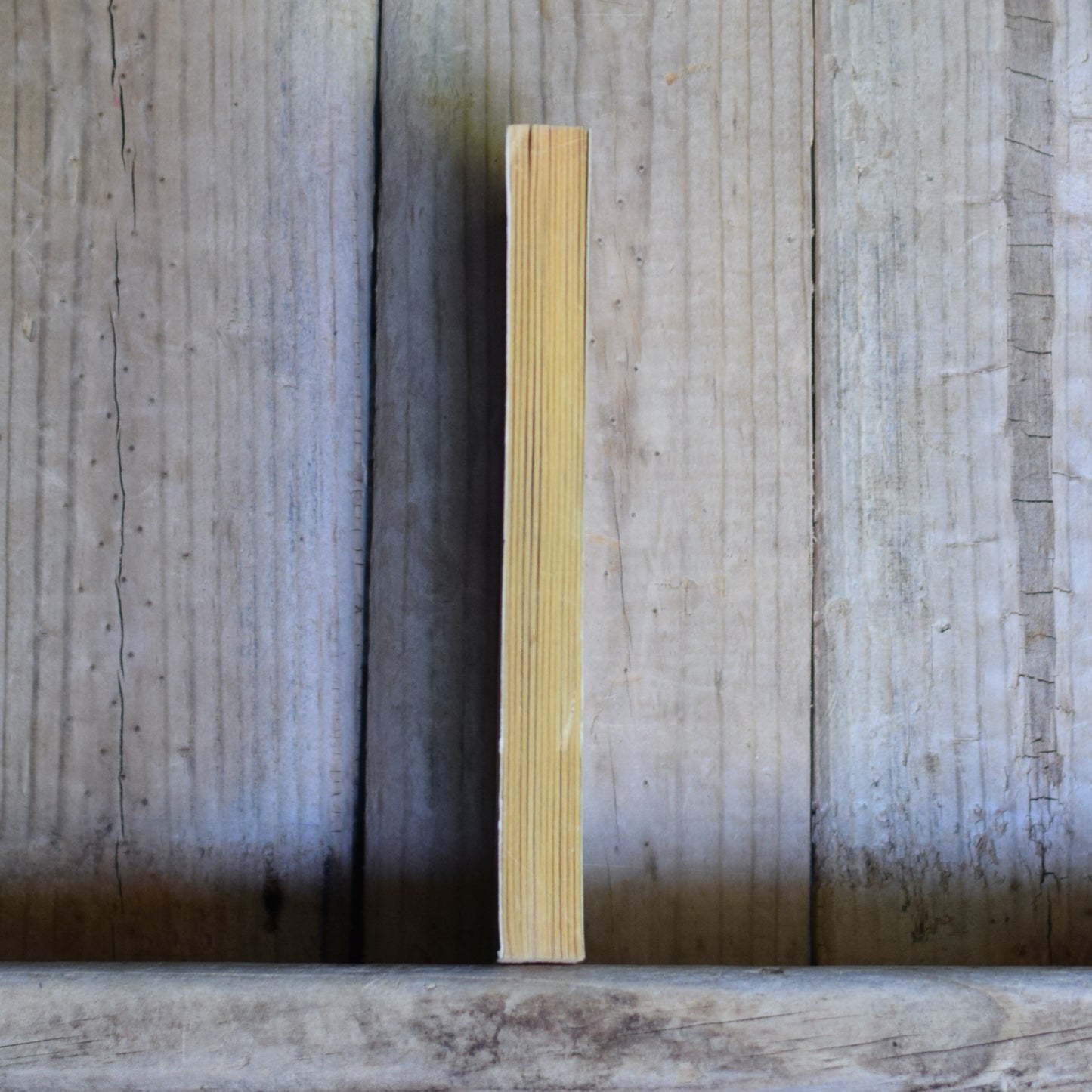 Vintage Sci-fi Paperback: Robert Silverberg - Stepsons of Terra