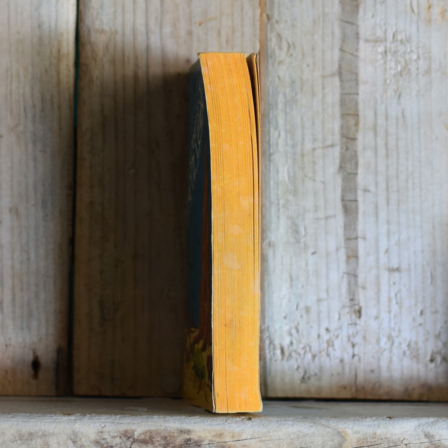 Vintage Sci-fi Paperback: The Best of Fritz Leiber FIRST PRINTING