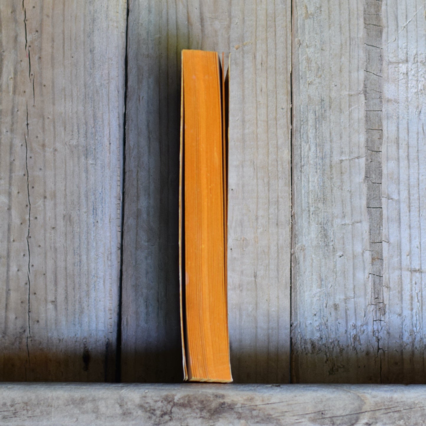 Vintage Sci-fi Paperback: George O Smith - Venus Equilateral