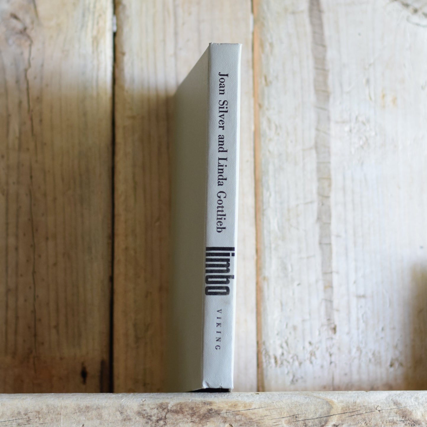 Vintage Fiction Hardback: Joan Silver and Linda Gottlieb - Limbo BCE