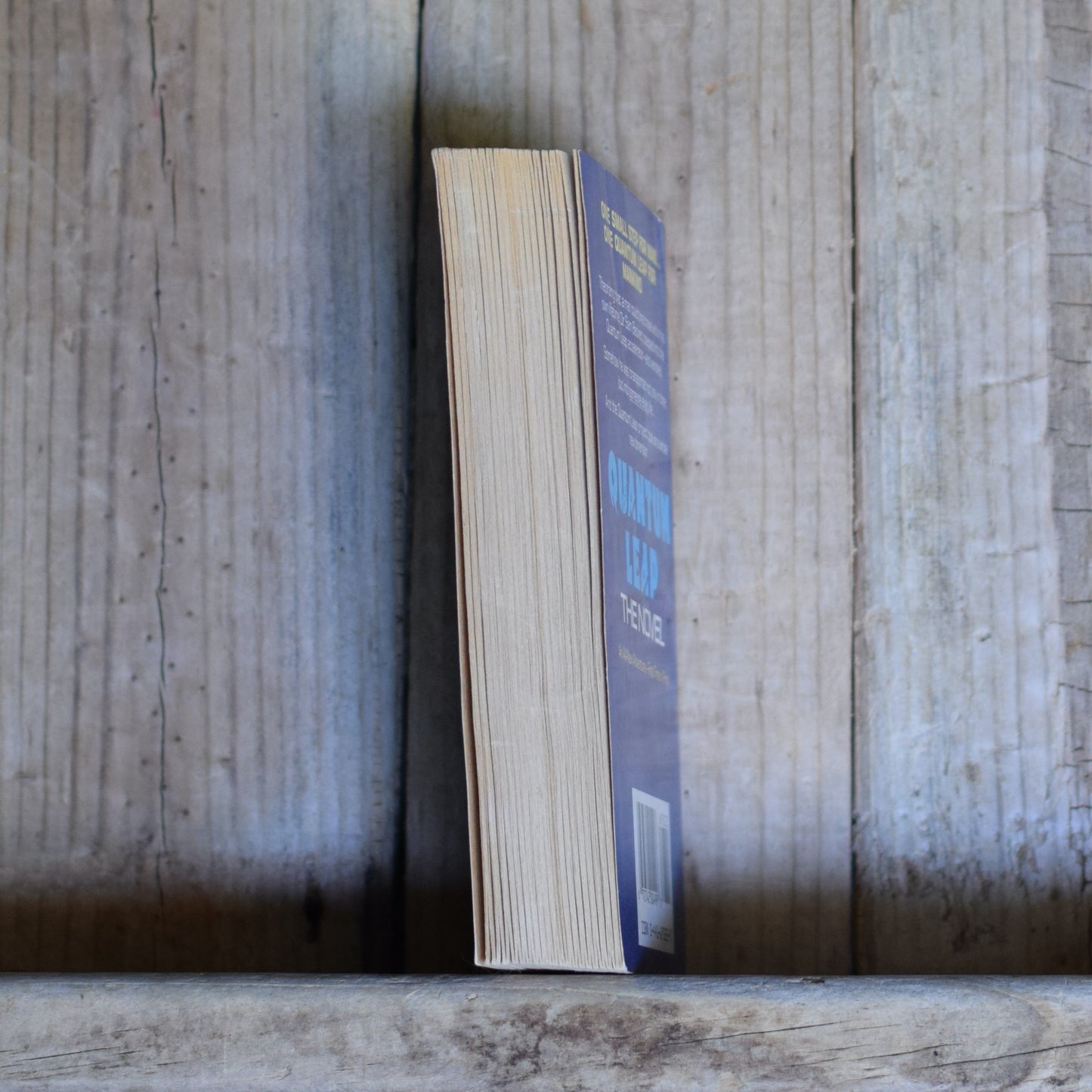 Vintage Sci-fi Paperback: Ashley McConnell - Quantum Leap, The Novel