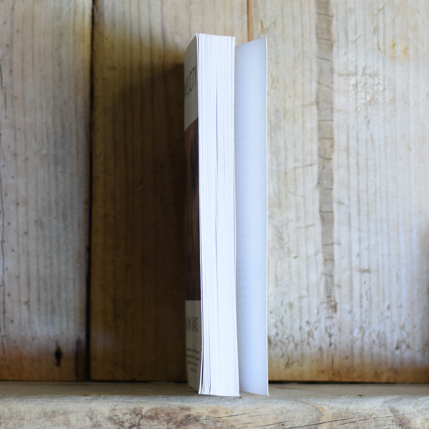 Fiction Paperback: Iain Banks - Complicity FIRST PRINTING