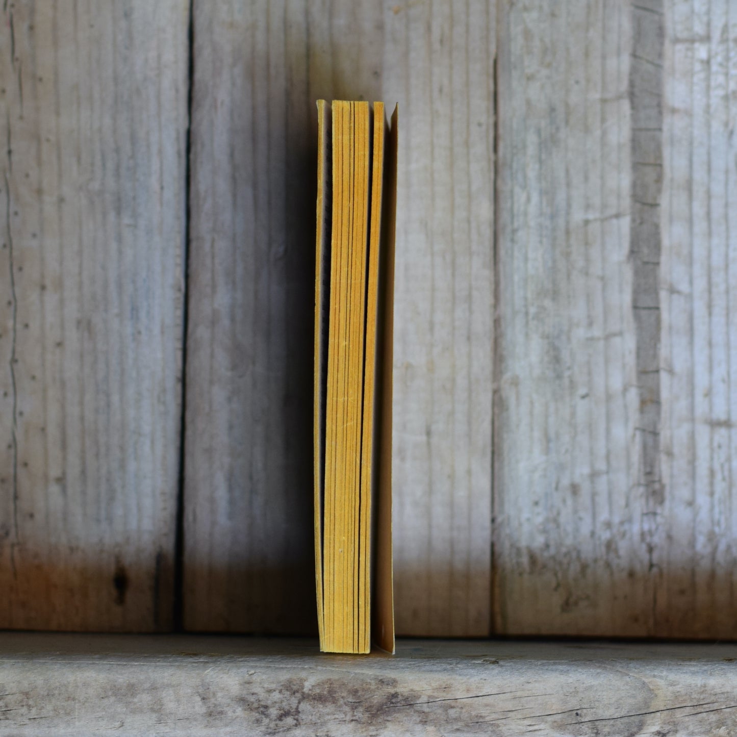 Vintage Sci-fi Paperback: Edward E Smith - The Galaxy Primes