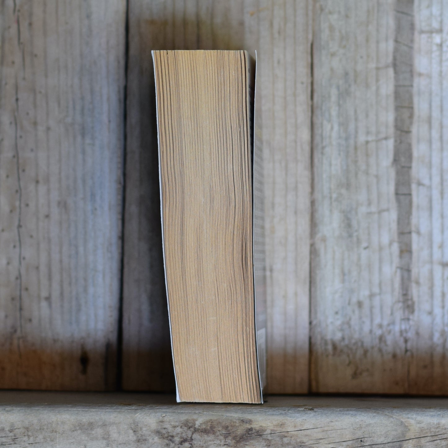 Sci-fi Paperback: Robert Silverberg - The Alien Years